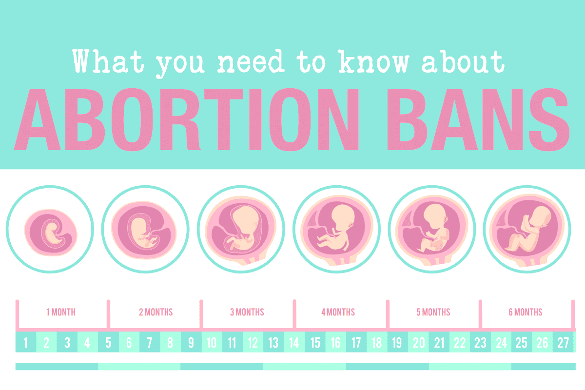 image of abortion ban with baby's age from conception to nine months