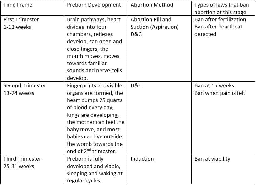 Summary-Chart.jpg