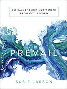 Book Cover for Prevail by Susie Larson