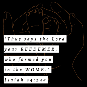 Bible verse from Isaiah 44:24a the Lord formed you in the womb: