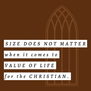 Quote - Size does not matter when it comes to value of life for the Christian from The History of Christianity and Abortion