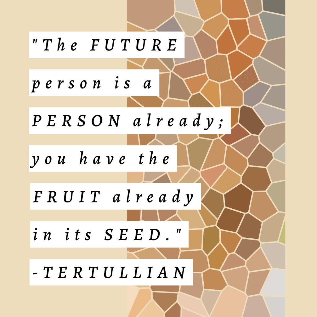 Quote by Tertullian ; you have the fruit already in its seed in The History of Christianity and Abortion