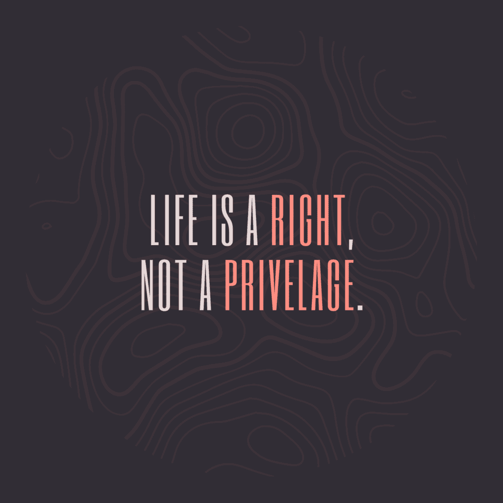 life is a human right not a privilege quote about what are human rights