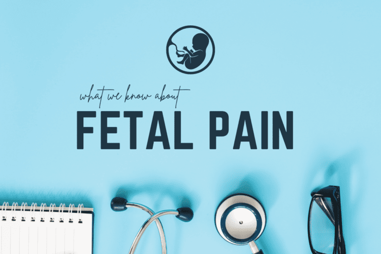 When Can a Fetus Feel Pain? Focus on the Family