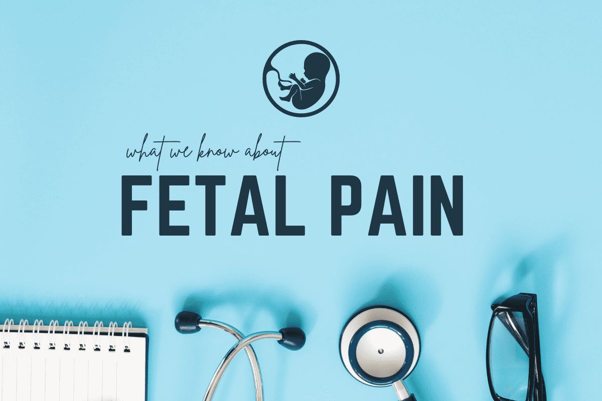 Blue Title omg with Doctor science instruments and title saying , what we know about fetal pain.