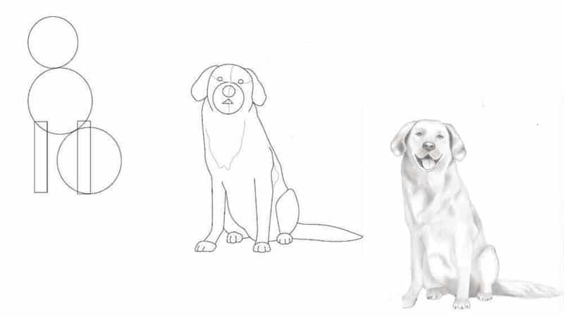 How to Draw a Dog Step by Step - EasyLineDrawing-saigonsouth.com.vn