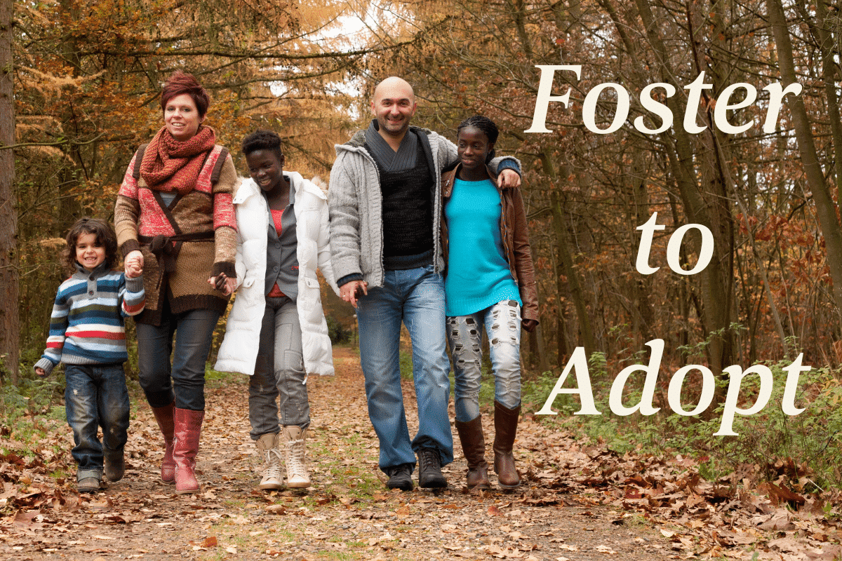 A family walking through the woods because they adopted from foster care