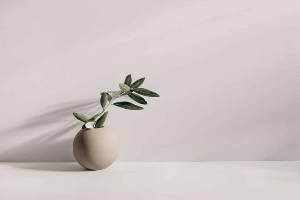AdobeStock_423604126-scaled.jpeg