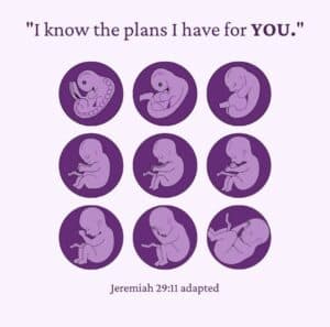 What does the Bible say about abortion? Well Jeremiah 29:11 says that God knows the plan for you. Picture of growing fetus.