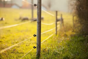 Electric fencing around lovely pasture with farm animals