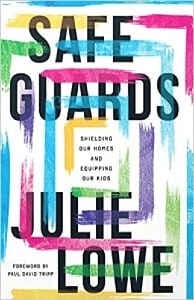 Safe Guards Book Cover