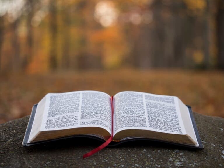 Bible laying open outside.