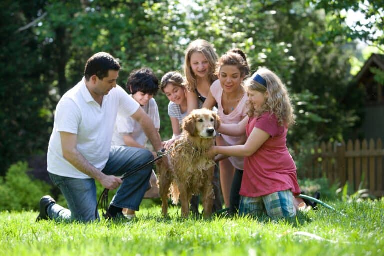 free personality test family time together