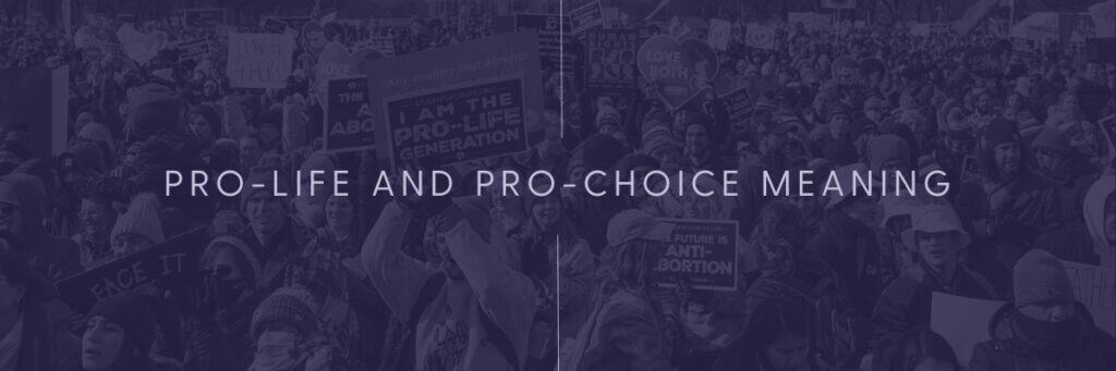"Abortion Definitions and Language" graphic with the words "pro-life and pro-choice meaning" on it with a faded purple background that has a March for Life pic on it.