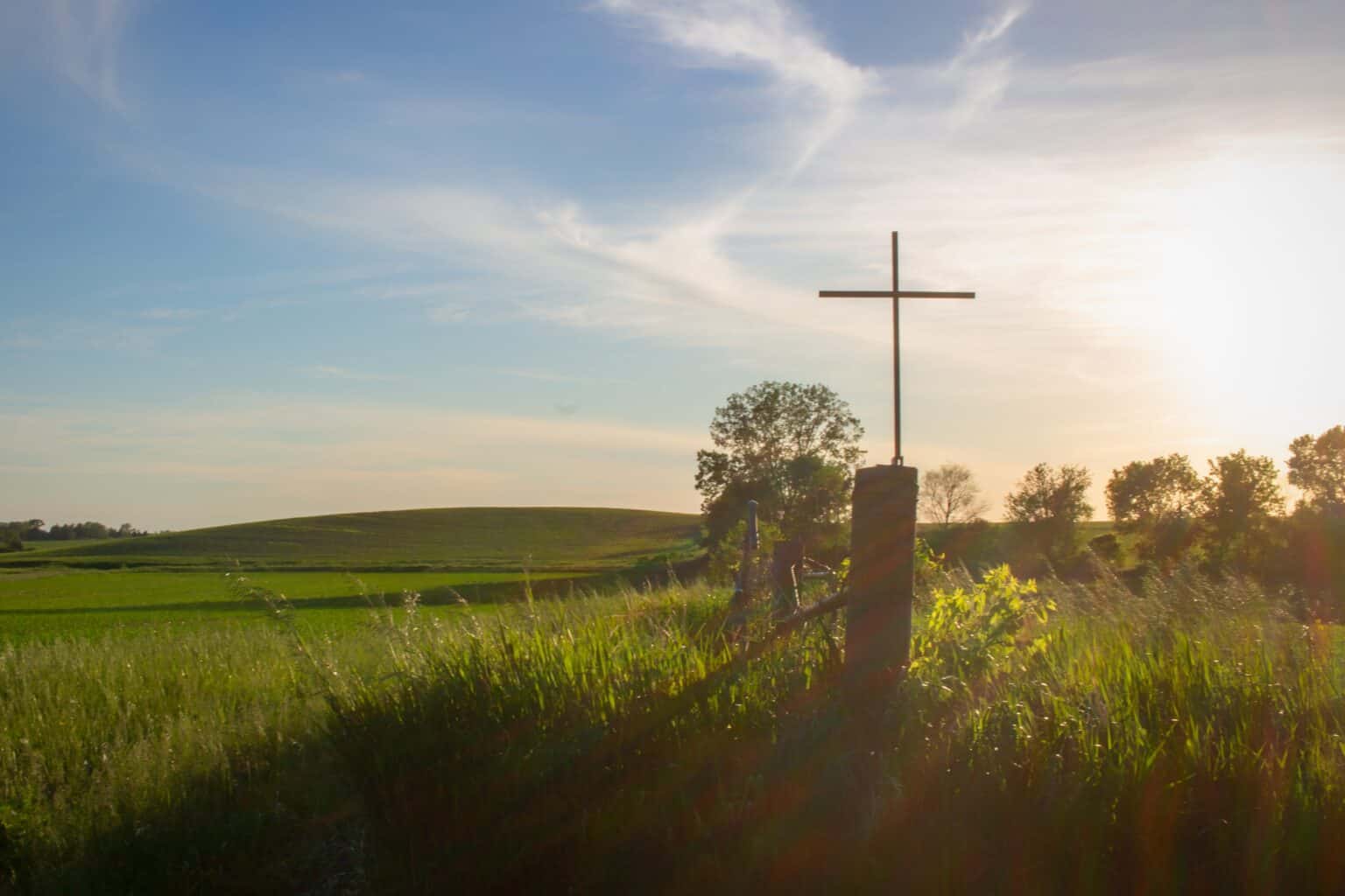 holiness of God cross in a field