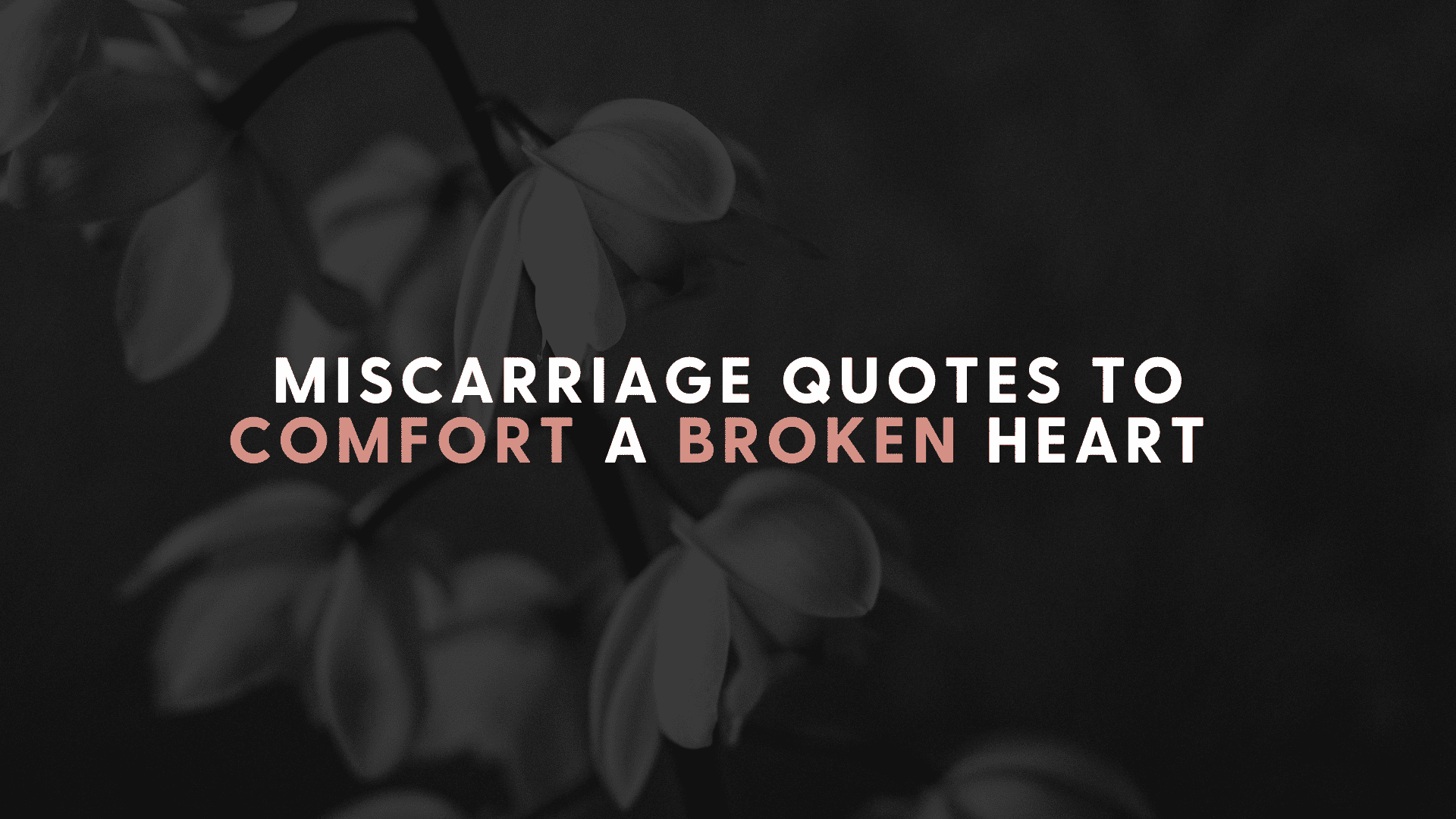 Miscarriage quotes hero image with flowers
