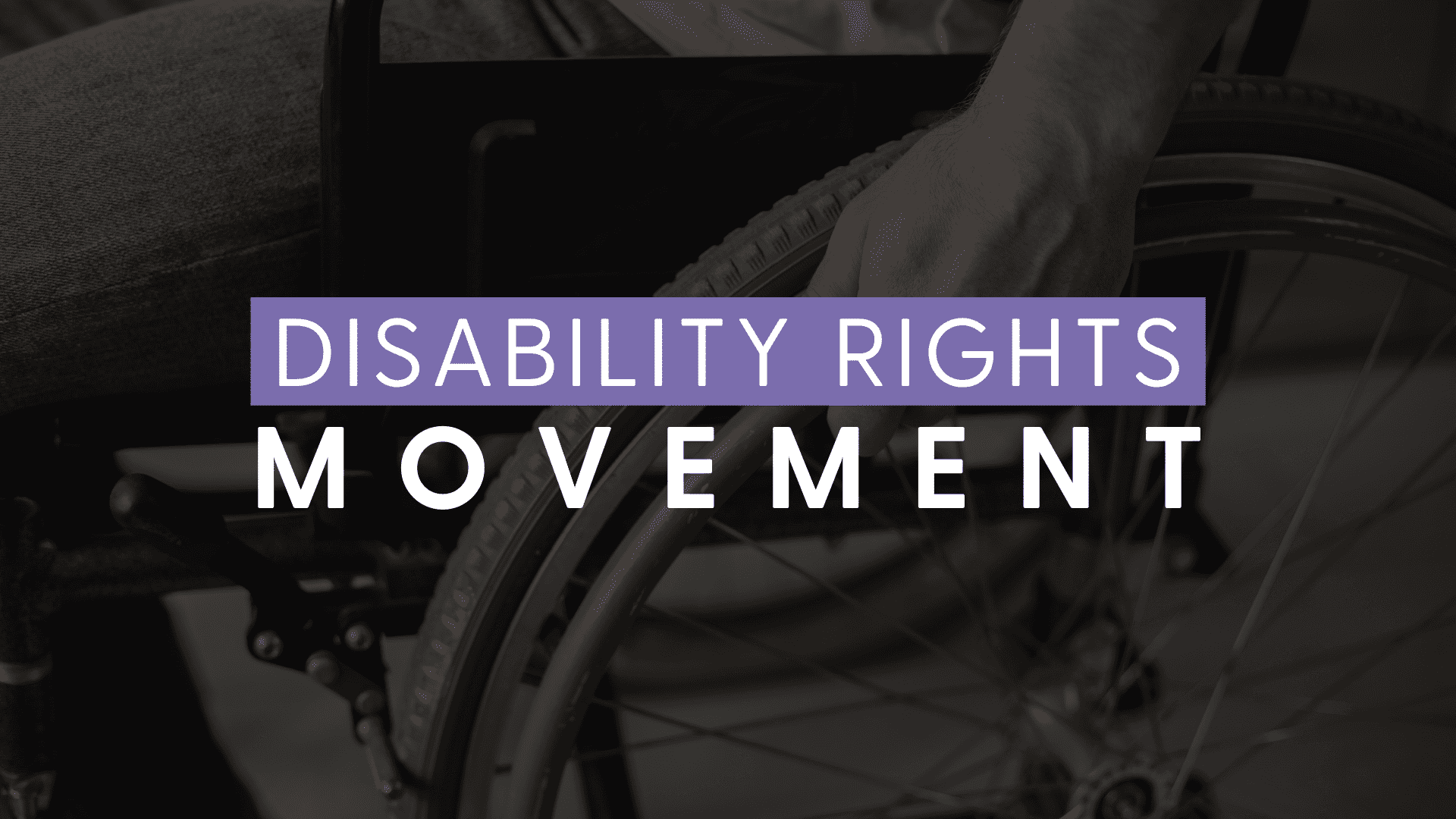 What is the disability rights movement?