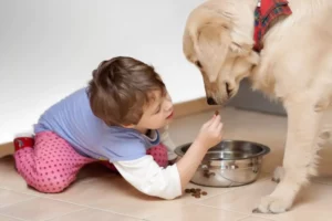 little boy feeding his dog