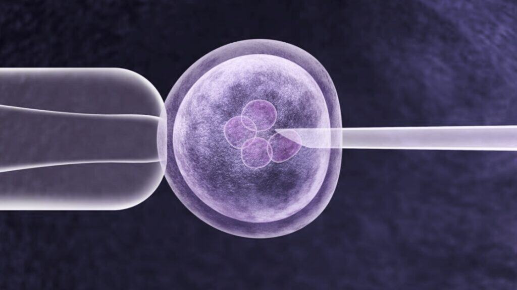 Frozen Embryos: Ethical Issues, Cryopreservation Risks, and IVF graphic