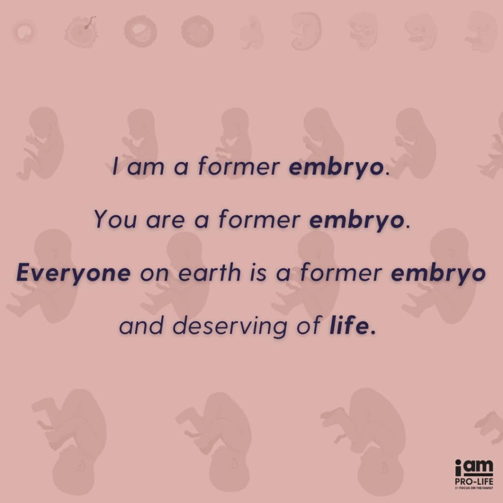 Frozen Embryos: Ethical Issues, Cryopreservation Risks, and IVF graphic