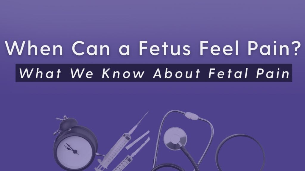 Purple image with the words "When can a fetus feel pain" and "what we know about fetal pain."