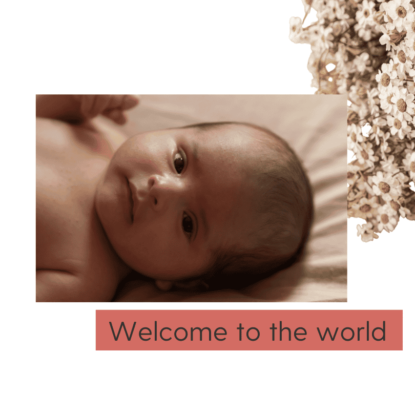 Welcome to the World babies can be safely surrendered to baby boxes