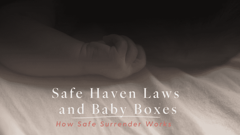 A title cover with the words Safe Haven Laws and Baby Boxes