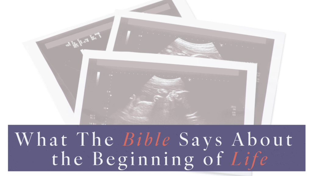 Picture of ultrasound pictures and title What the Bible Says About the Beginning of Life