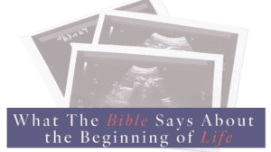 Picture of ultrasound pictures and title What the Bible Says About the Beginning of Life
