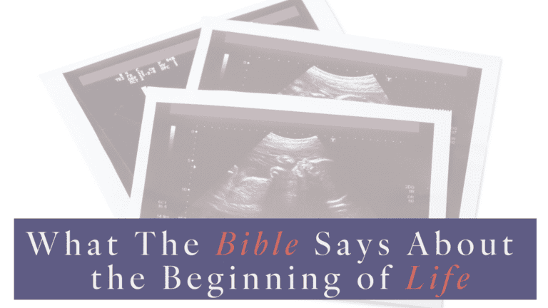 Picture of ultrasound pictures and title What the Bible Says About the Beginning of Life