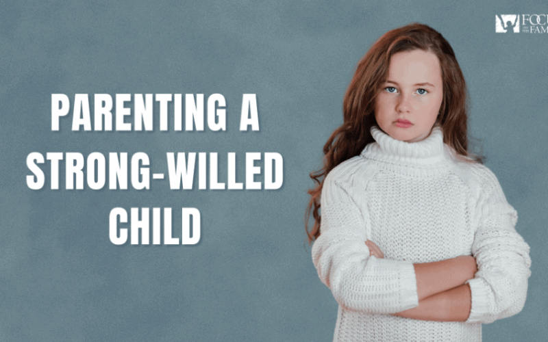 parenting-a-strong-willed-child-cta Parenting a strong-willed child resource promotion
